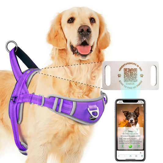 ADVENTUREMORE XL No-Pull Dog Harness – Reflective & Breathable Dog Vest with Front Clip, QR Code Tag & Escape-Proof Fit | Purple, Extra Large