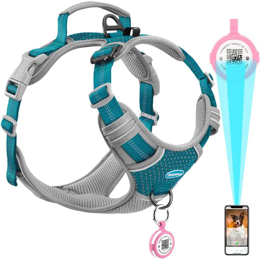 ThinkPet No-Pull Dog Harness – Smart ID Tag + AirTag Holder | Reflective Dual-Clip Harness for Small to Large Dogs | Star Teal – Medium